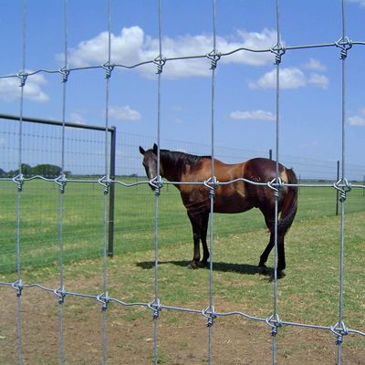 Cerca fixa Galvanized Stainless Steel do campo do nó da exploração agrícola da cabra