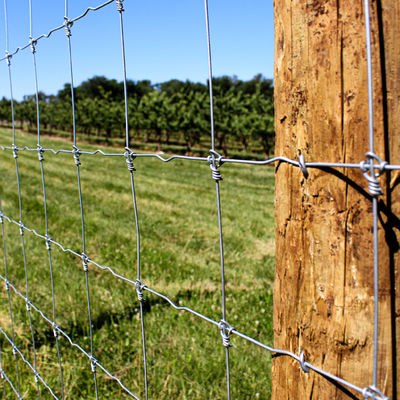 Quente fixo de alta elasticidade de Grassland Deer Farm da cerca do nó mergulhado galvanizado