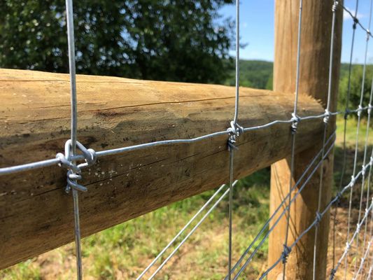 O gado fixo da junção de dobradiça da cerca 1.2m do nó dos cervos prende Mesh Field Fence
