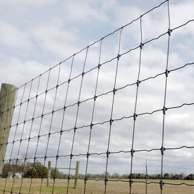 Cerca fixa galvanizada de grande resistência Metal Iron do gado do nó